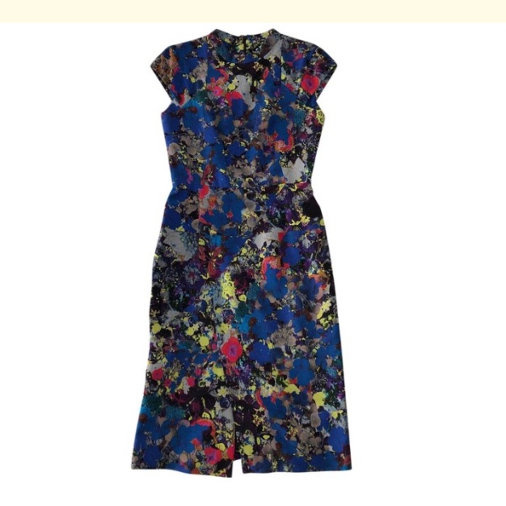 Erdem Dress